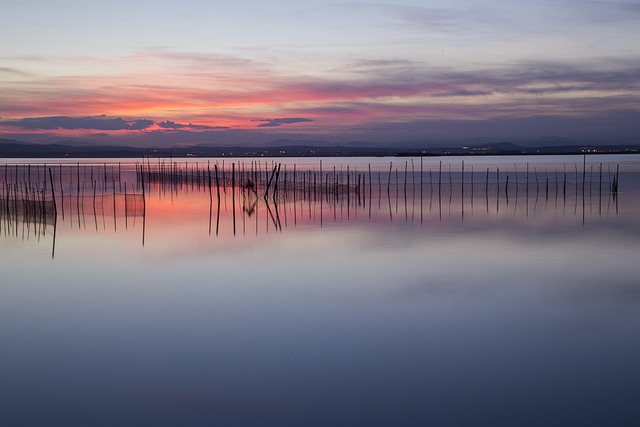 Vistas del atardecer en la Albufera de València.