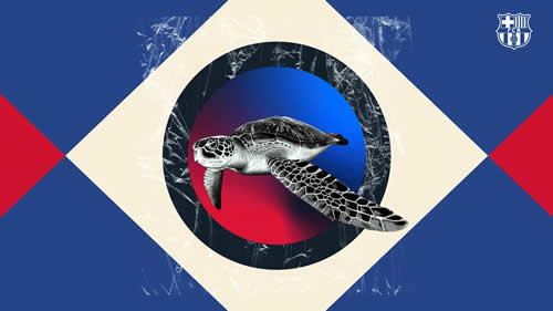 NFT Barça Tortuga