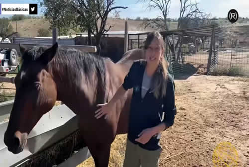 Yegua El Santuario Vegano